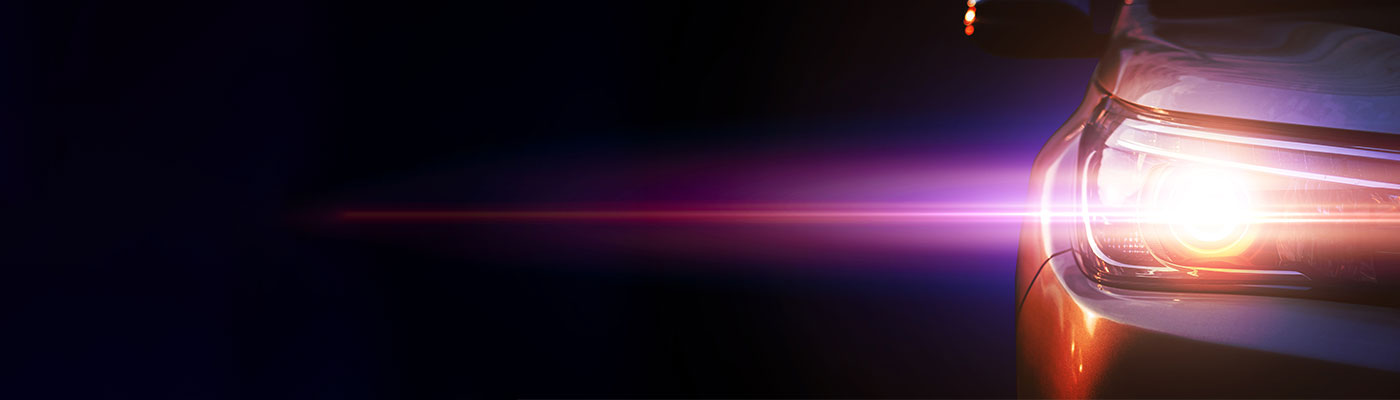 Formulário de Sinistro